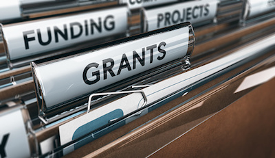 Federal Government Grants in Nigeria