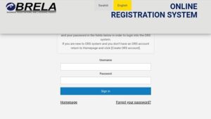 BRELA ORS Login