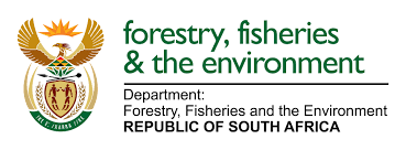DFFE Vacancies