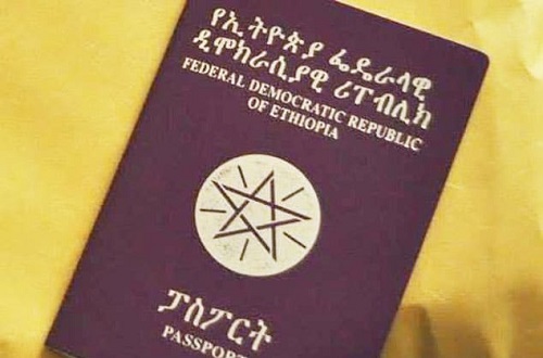 Ethiopian Passport Application Form Online