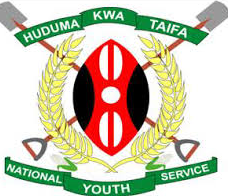 NYS Courses Offered In Kenya
