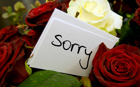 Apology Letter