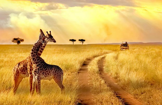 Best African Proverbs